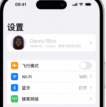 东路镇appleID维修服务iPhone设置中Apple ID显示为灰色无法使用