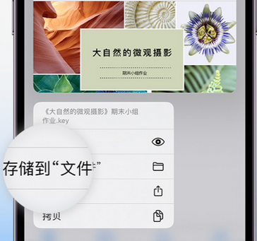 东路镇apple维修中心分享iPhone文件应用中存储和找到下载文件