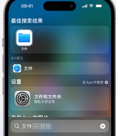 东路镇apple维修中心分享iPhone文件应用中存储和找到下载文件 