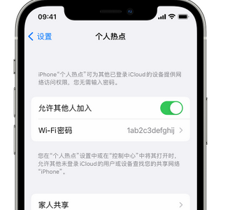 东路镇apple服务站点分享iPhone上个人热点丢失了怎么办