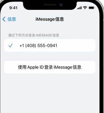 东路镇apple维修iPhone上无法正常发送iMessage信息 