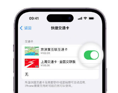 东路镇apple维修点分享iPhone上更换Apple Pay快捷交通卡手绘卡面 