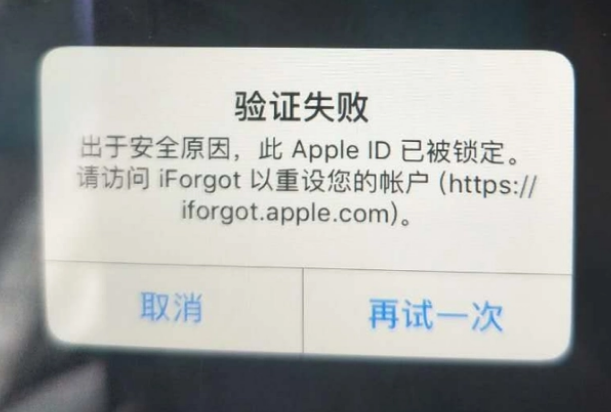 东路镇iPhone维修分享iPhone上正常登录或使用AppleID怎么办 