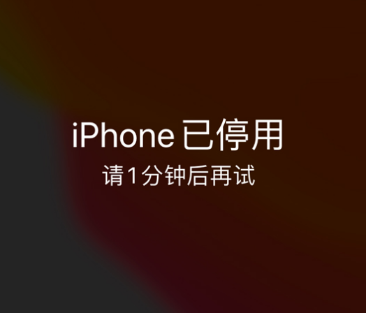 东路镇苹果手机维修分享:iPhone 显示“不可用”或“已停用”怎么办？还能保留数据吗？ 