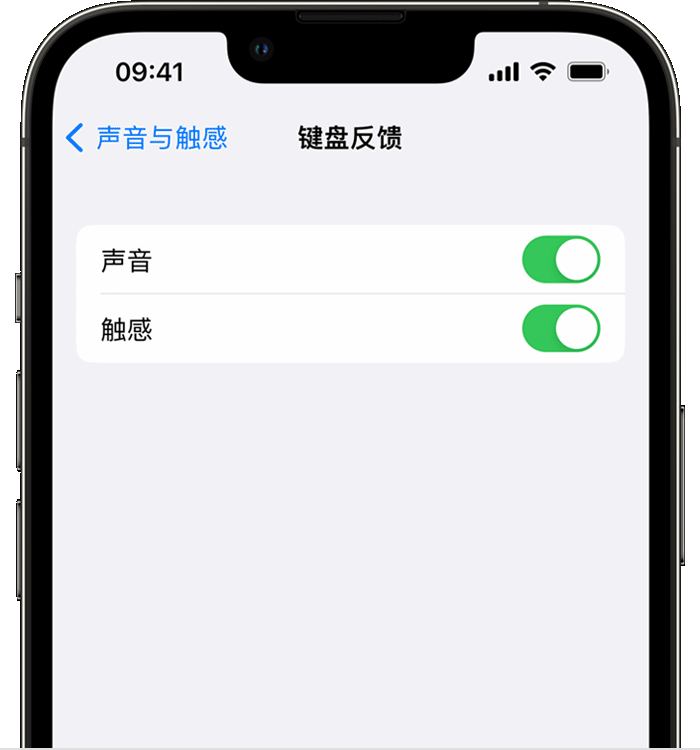 东路镇苹果14维修店分享如何在 iPhone 14 机型中使用触感键盘 