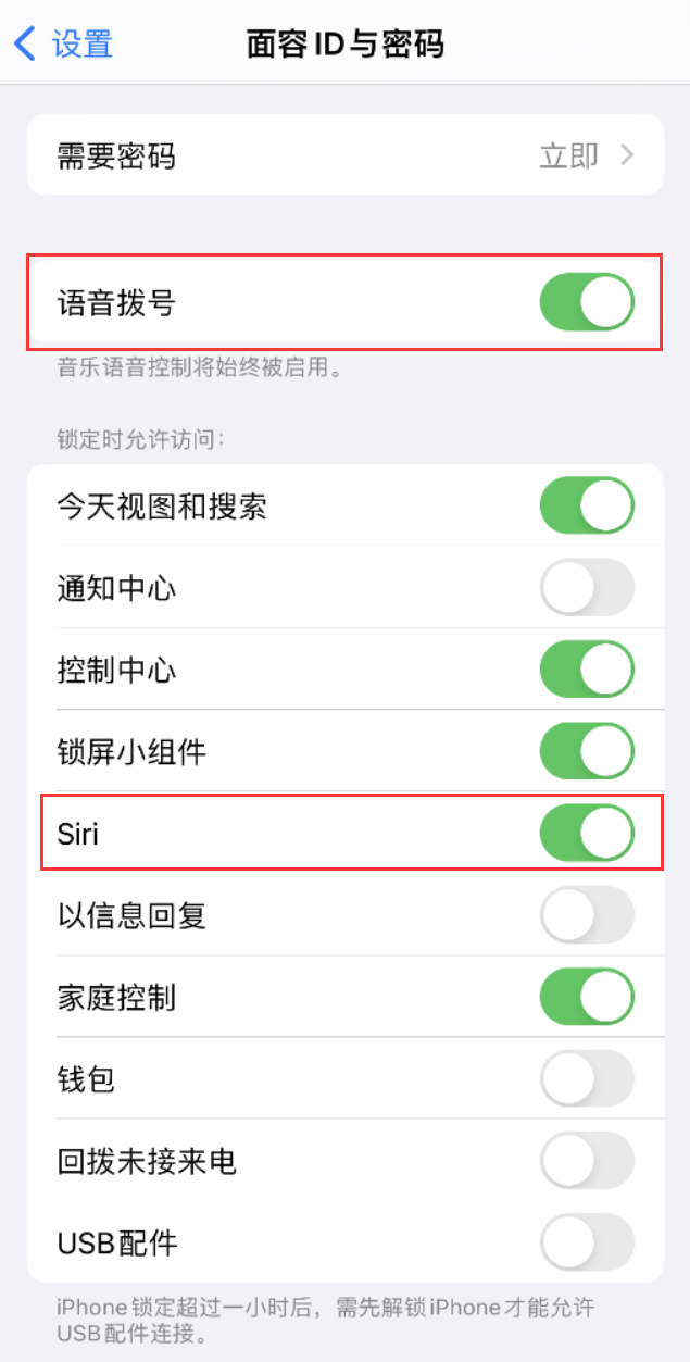 东路镇苹果维修网点分享不解锁 iPhone 的情况下通过 Siri 拨打电话的方法 