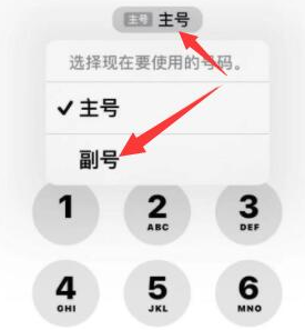 东路镇苹果14维修店分享iPhone 14 Pro Max使用副卡打电话的方法 