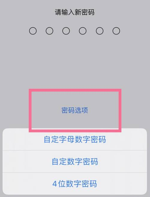 东路镇苹果14维修分享iPhone 14plus设置密码的方法 