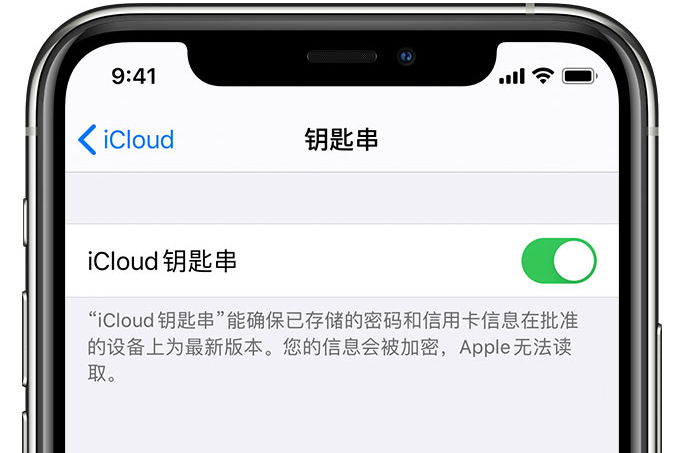 东路镇苹果手机维修分享在 iPhone 上开启 iCloud 钥匙串之后会储存哪些信息 